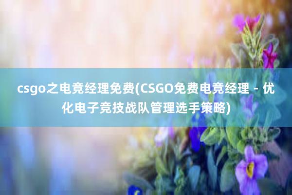 csgo之电竞经理免费(CSGO免费电竞经理 - 优化电子竞技战队管理选手策略)