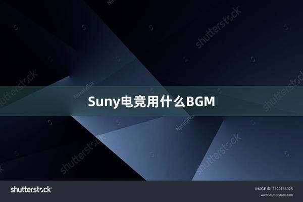 Suny电竞用什么BGM