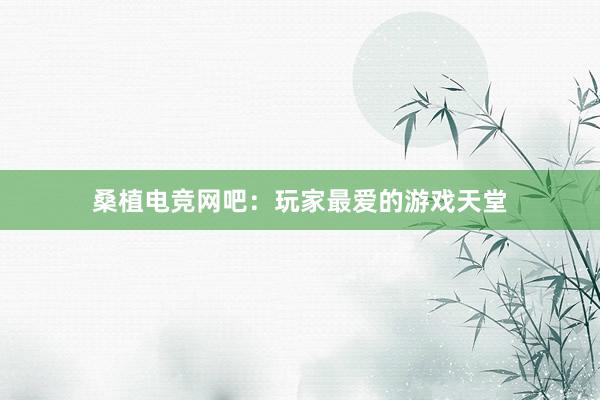 桑植电竞网吧：玩家最爱的游戏天堂